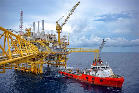 vv5 plataforma|e.